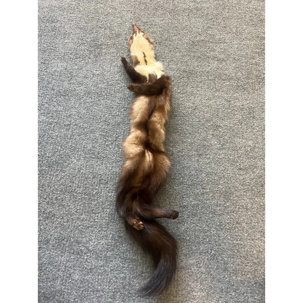 VTG Stone Marten Full Body Pelt Taxidermy w/ Paws Fur Neck Warmer Stole Scarf